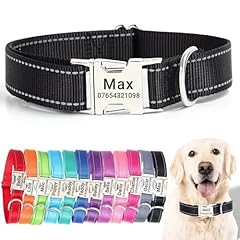 Seougee personalised dog for sale  Delivered anywhere in UK