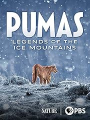 Pumas legends ice for sale  Delivered anywhere in USA 