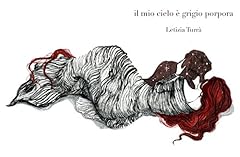 Mio cielo grigio usato  Spedito ovunque in Italia 