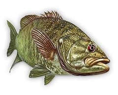 Smallmouth bass vinyl for sale  Delivered anywhere in USA 