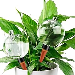 Soilagua extra large for sale  Delivered anywhere in USA 