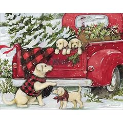 Lang puppies presents for sale  Delivered anywhere in USA 