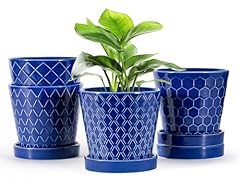 Efispss ceramic plant for sale  Delivered anywhere in USA 