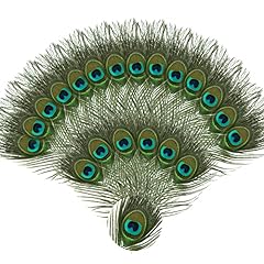 20pcs natural peacock for sale  Delivered anywhere in UK