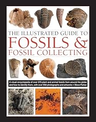 Illustrated guide fossils for sale  Delivered anywhere in USA 