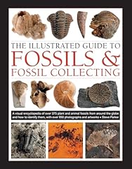 Illustrated guide fossils for sale  Delivered anywhere in USA 