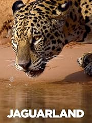 Jaguarland for sale  Delivered anywhere in USA 