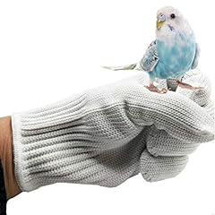 Alfyng bird training for sale  Delivered anywhere in USA 