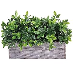 Artificial eucalyptus plant for sale  Delivered anywhere in USA 