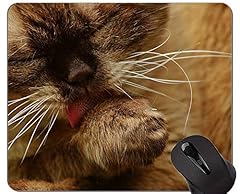 Tapis souris exotique d'occasion  Livré partout en Belgiqu