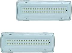 Flm system lampada usato  Spedito ovunque in Italia 