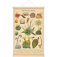 Tatuo vintage cacti for sale  Delivered anywhere in USA 
