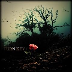 Turn key for sale  Delivered anywhere in USA 