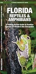 Florida reptiles amphibians for sale  Delivered anywhere in USA 