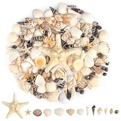 Coquillage mélangés styles d'occasion  Livré partout en Belgiqu