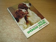 Essential welsh springer for sale  Delivered anywhere in UK