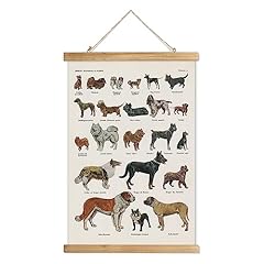 Xiaoaika classic dog for sale  Delivered anywhere in USA 