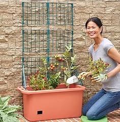 Lakeside collection vegetable for sale  Delivered anywhere in USA 
