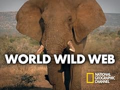 Wild web for sale  Delivered anywhere in USA 