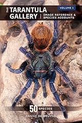 Tarantula gallery image for sale  Delivered anywhere in UK