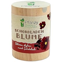 Feel green pflanzy gebraucht kaufen  Wird an jeden Ort in Deutschland