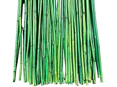 Tall natural thick for sale  Delivered anywhere in USA 