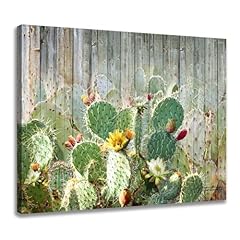 Plants cactus picture for sale  Delivered anywhere in USA 