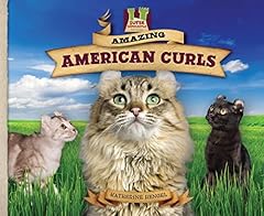 Amazing american curls for sale  Delivered anywhere in USA 