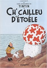 Tintin picard vimeu d'occasion  Livré partout en France