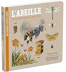 Deyrolle abeille petits d'occasion  Livré partout en France