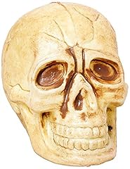 Bag skulls fun usato  Spedito ovunque in Italia 