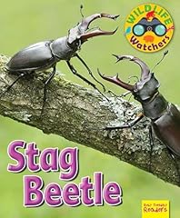 Wildlife watchers stag for sale  Delivered anywhere in UK