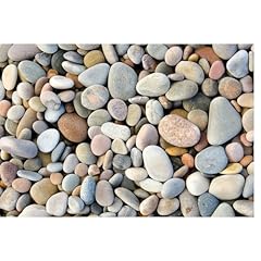 Cobblestone aquarium backgroun for sale  Delivered anywhere in USA 