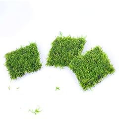 Aquadip java moss for sale  Delivered anywhere in UK