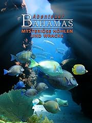 Abenteuer bahamas mysteriöse gebraucht kaufen  Wird an jeden Ort in Deutschland