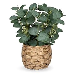Dilatata artificial eucalyptus for sale  Delivered anywhere in USA 