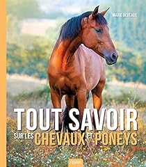 Chevaux poneys d'occasion  Livré partout en France