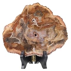 Moonsix irregular petrified for sale  Delivered anywhere in USA 