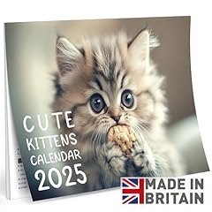 Kittens calendar 2025 for sale  Delivered anywhere in UK