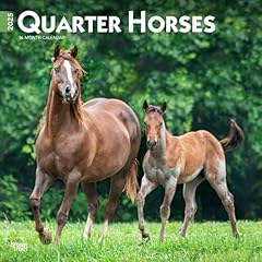Quarter horses 2025 for sale  Delivered anywhere in USA 