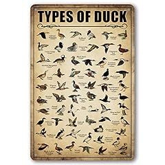 Type duck tin for sale  Delivered anywhere in USA 