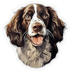English springer spaniel for sale  Delivered anywhere in USA 