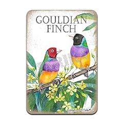 Gouldian finch bird for sale  Delivered anywhere in USA 