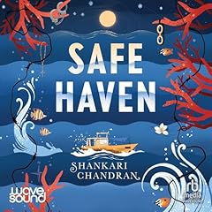 Safe haven for sale  Delivered anywhere in UK
