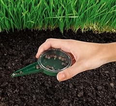 Garden plant seed for sale  Delivered anywhere in UK