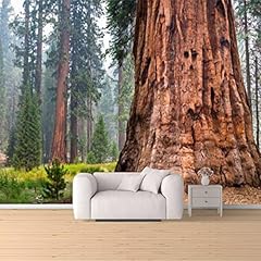 Giant sequoia trees for sale  Delivered anywhere in USA 