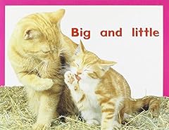 Big little plus for sale  Delivered anywhere in USA 