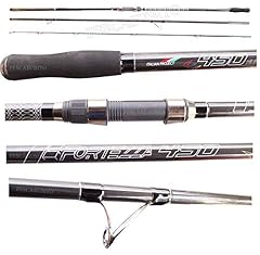 Canna pesca surfcasting usato  Spedito ovunque in Italia 