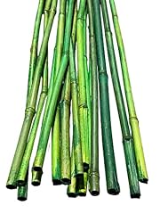 Thick colorful bamboo for sale  Delivered anywhere in USA 