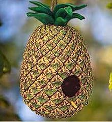 Spoontiques birdhouse garden for sale  Delivered anywhere in USA 